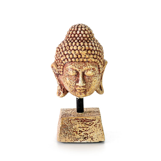 Statue head | BUDDHA | Small