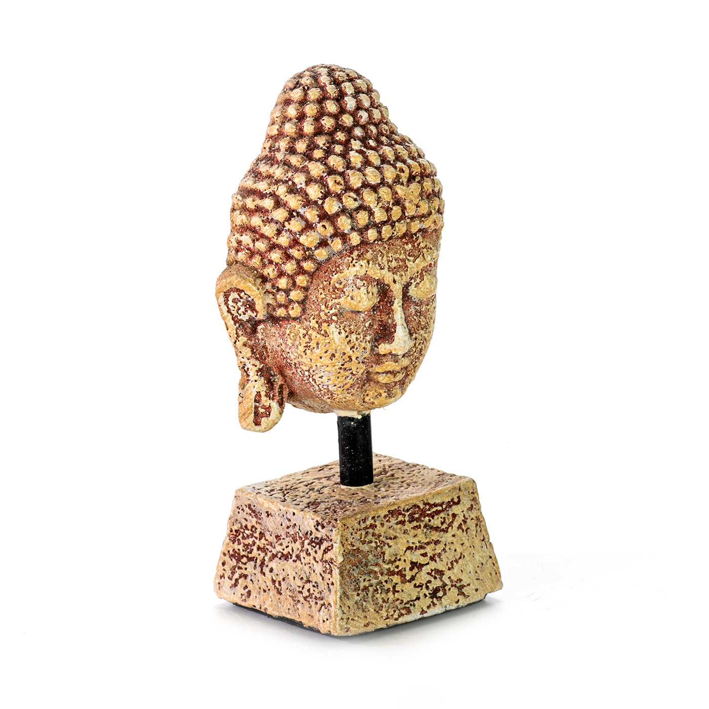 Statue head | BUDDHA | Small