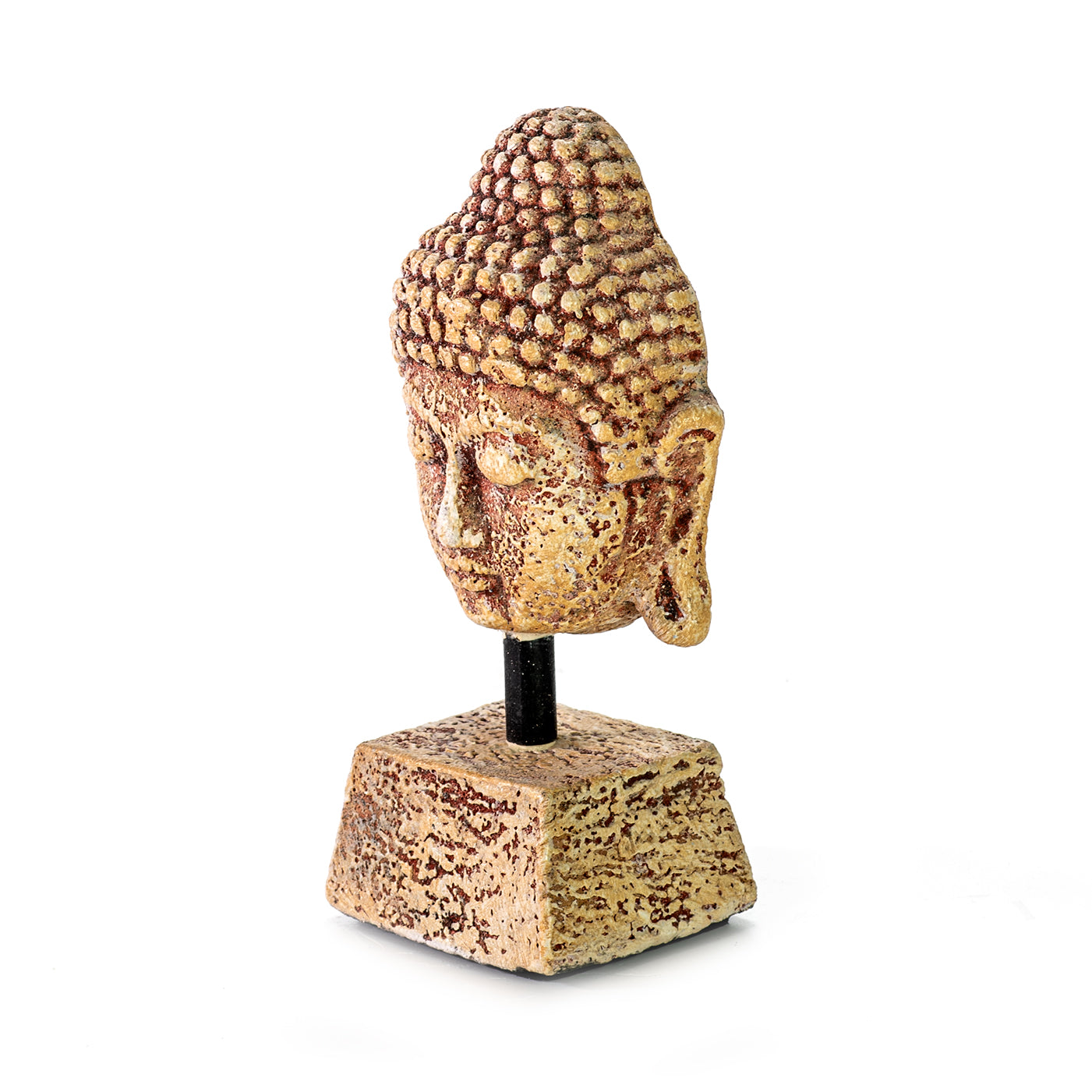 Statue head | BUDDHA | Small