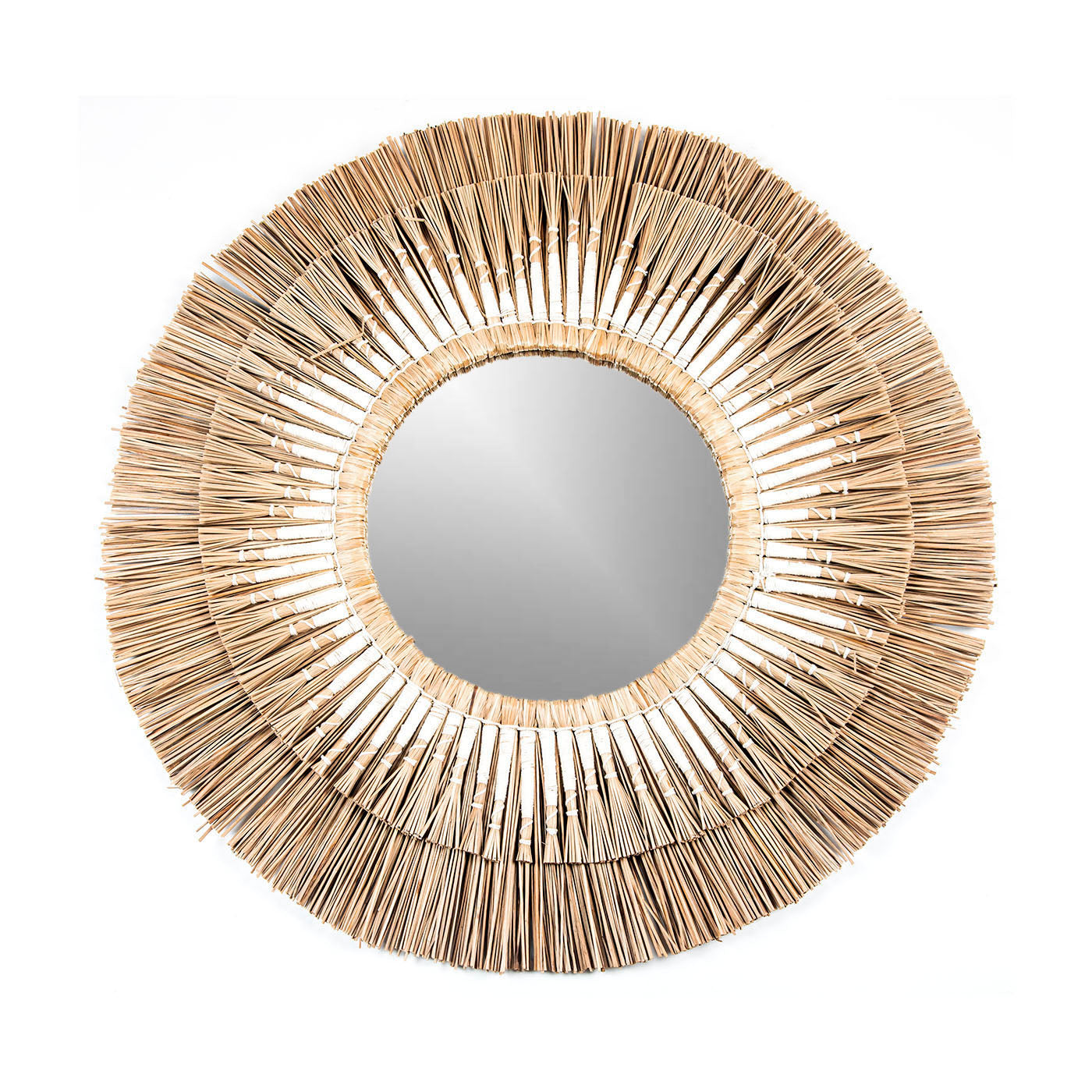 Seagrass mirror | AMMOS