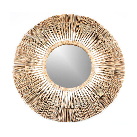 Seagrass mirror | AMMOS