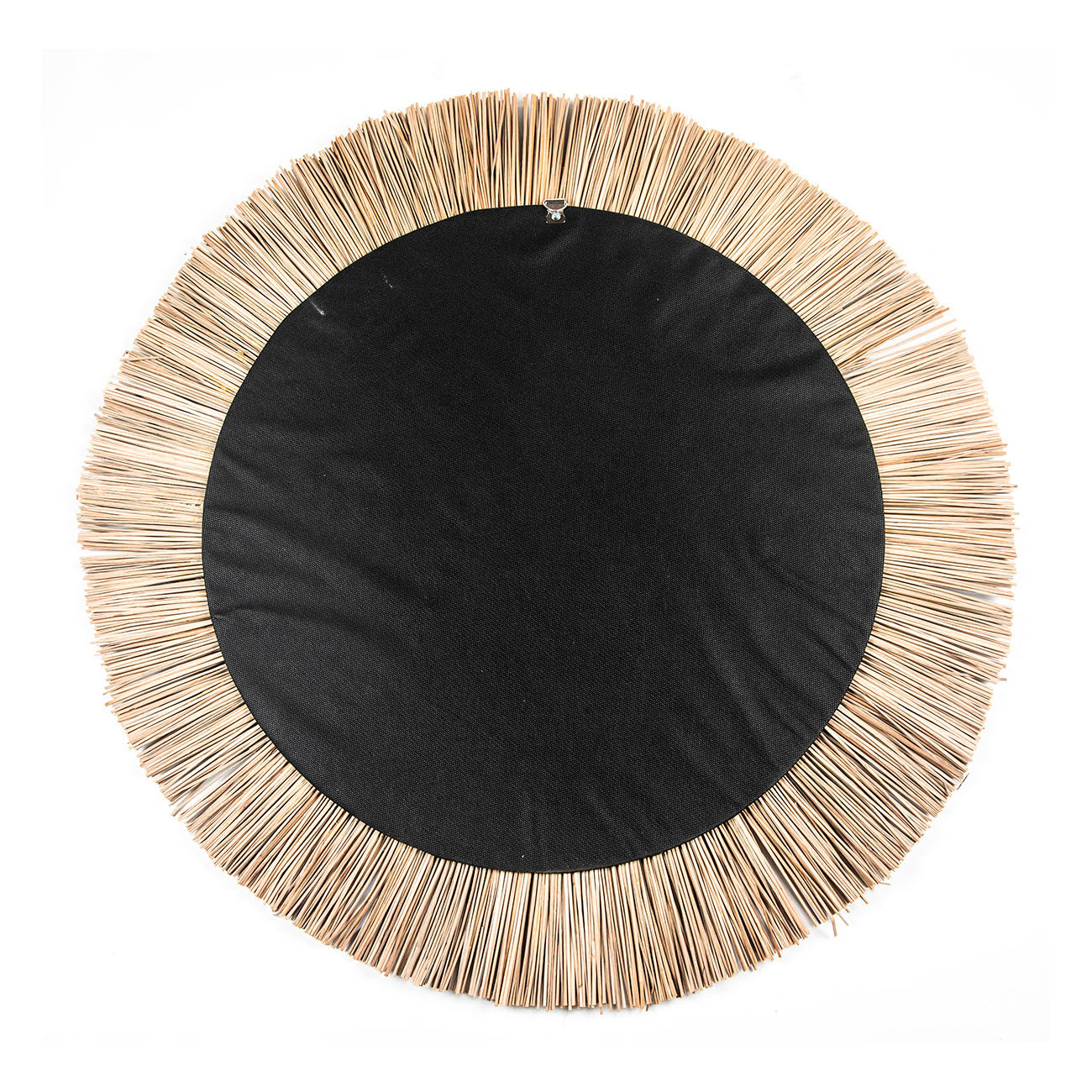 Seagrass mirror | AMMOS