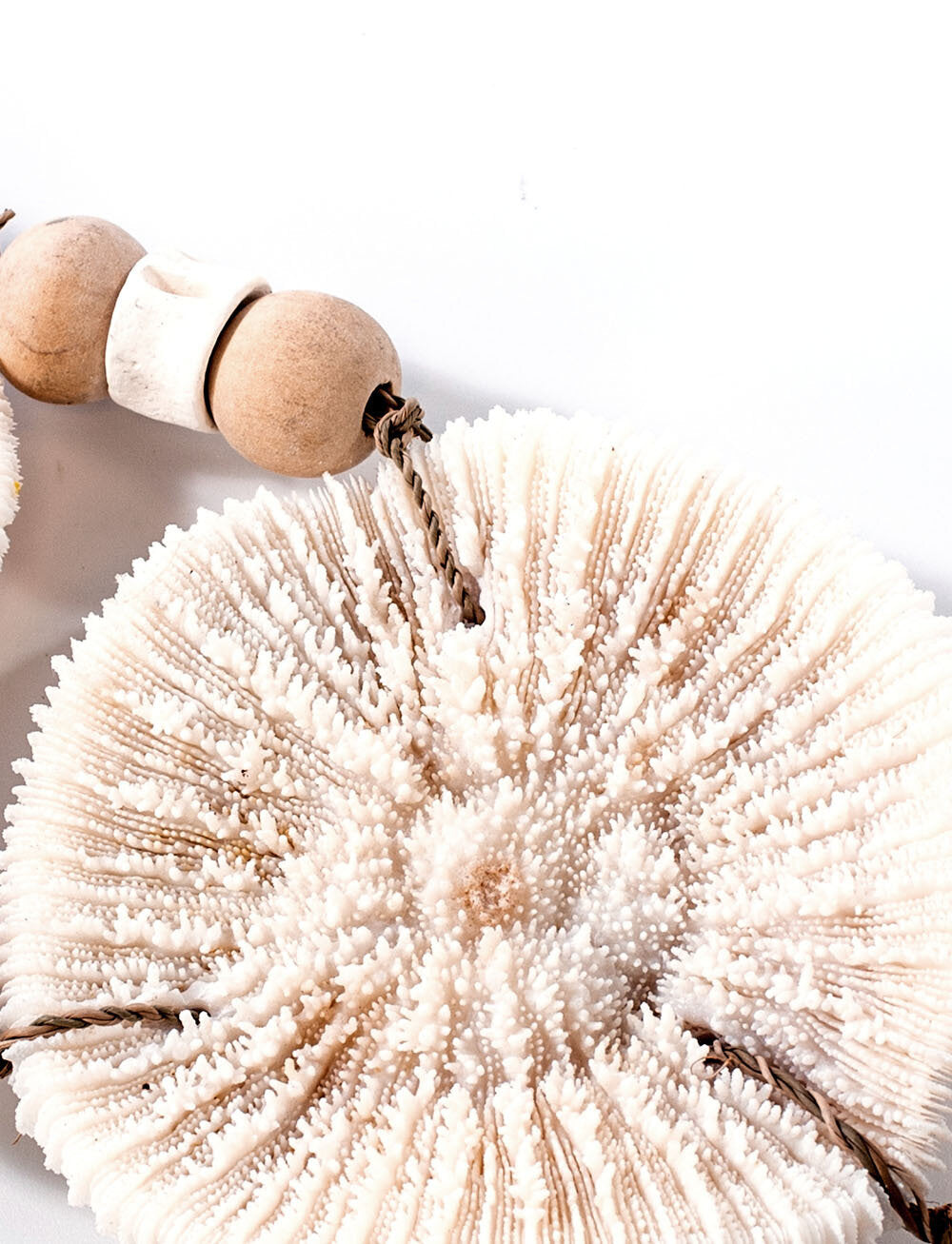 Wall decoration | REEF